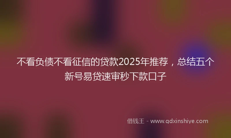 不看负债不看征信的贷款2025年推荐，总结五个新号易贷速审秒下款口子