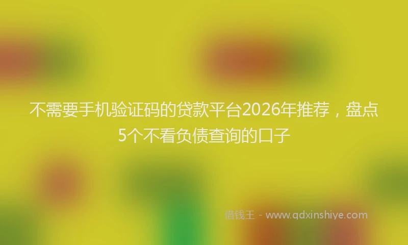 不需要手机验证码的贷款平台2026年推荐，盘点5个不看负债查询的口子