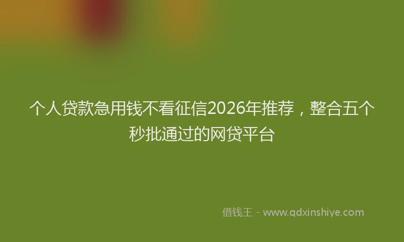 个人贷款急用钱不看征信2026年推荐，整合五个秒批通过的网贷平台