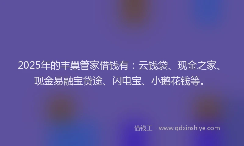 2025年的丰巢管家借钱有：云钱袋、现金之家、现金易融宝贷途、闪电宝、小鹅花钱等。