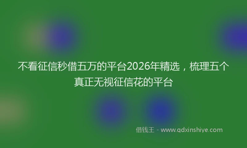 不看征信秒借五万的平台2026年精选,梳理五个真正无视征信花的平台
