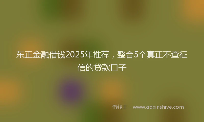 东正金融借钱2025年推荐,整合5个真正不查征信的贷款口子