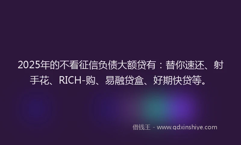 2025年的不看征信负债大额贷有：替你速还、射手花、RICH-购、易融贷盒、好期快贷等。