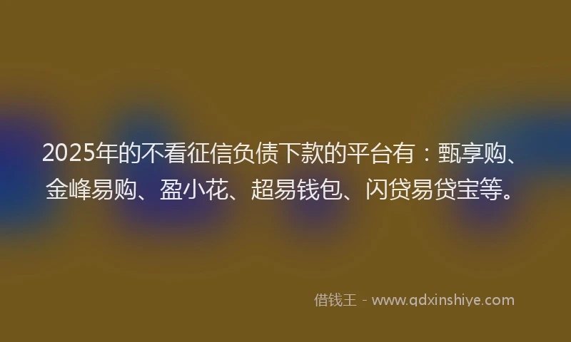 2025年的不看征信负债下款的平台有：甄享购、金峰易购、盈小花、超易钱包、闪贷易贷宝等。