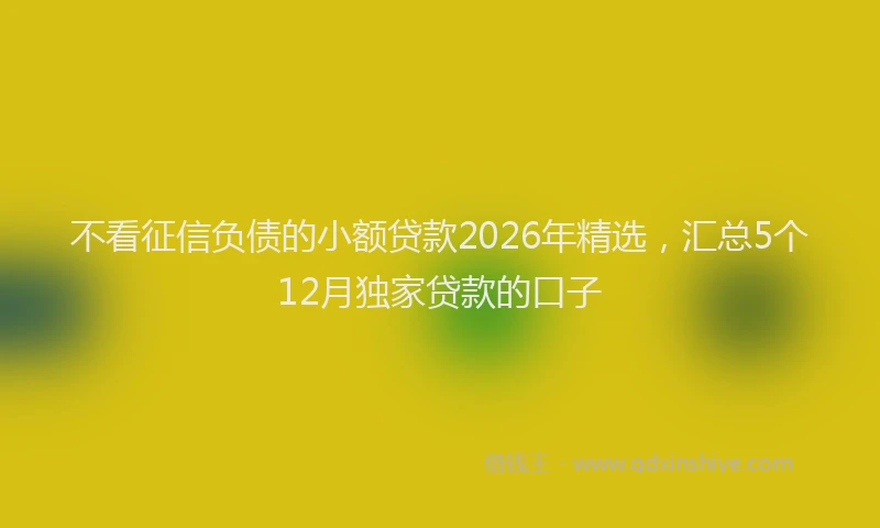 不看征信负债的小额贷款2026年精选，汇总5个12月独家贷款的口子