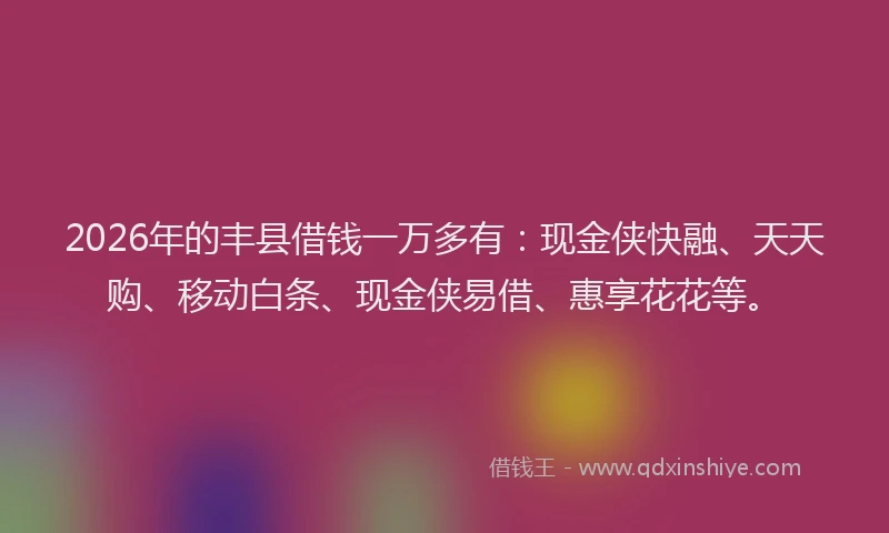 2026年的丰县借钱一万多有:现金侠快融、天天购、移动白条、现金侠易借、惠享花花等。