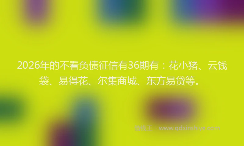 2026年的不看负债征信有36期有：花小猪、云钱袋、易得花、尔集商城、东方易贷等。