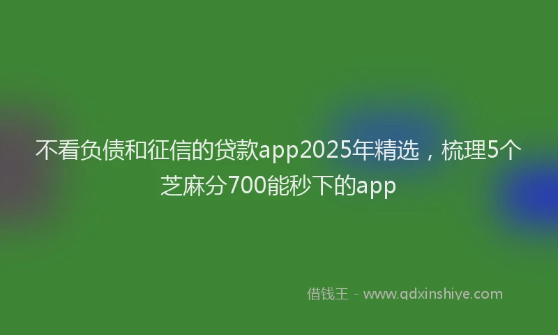 不看负债和征信的贷款app2025年精选，梳理5个芝麻分700能秒下的app