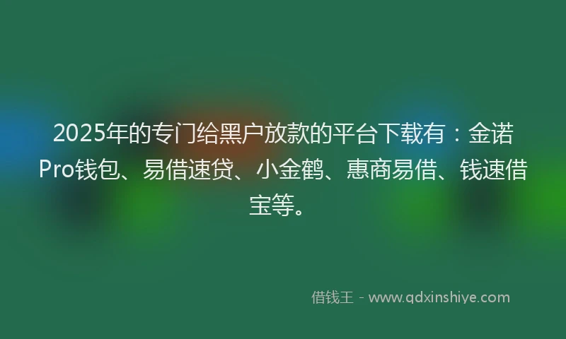 2025年的专门给黑户放款的平台下载有：金诺Pro钱包、易借速贷、小金鹤、惠商易借、钱速借宝等。