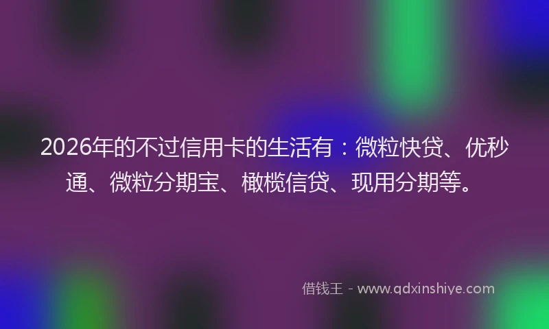 2026年的不过信用卡的生活有：微粒快贷、优秒通、微粒分期宝、橄榄信贷、现用分期等。