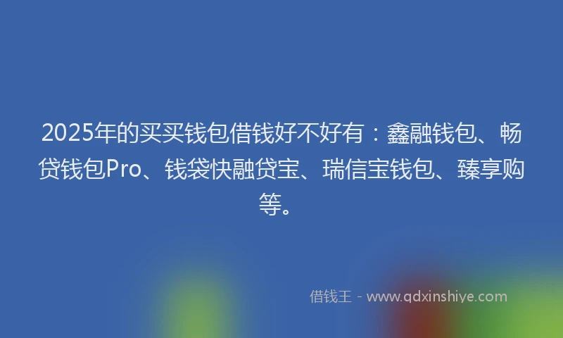 2025年的买买钱包借钱好不好有：鑫融钱包、畅贷钱包Pro、钱袋快融贷宝、瑞信宝钱包、臻享购等。