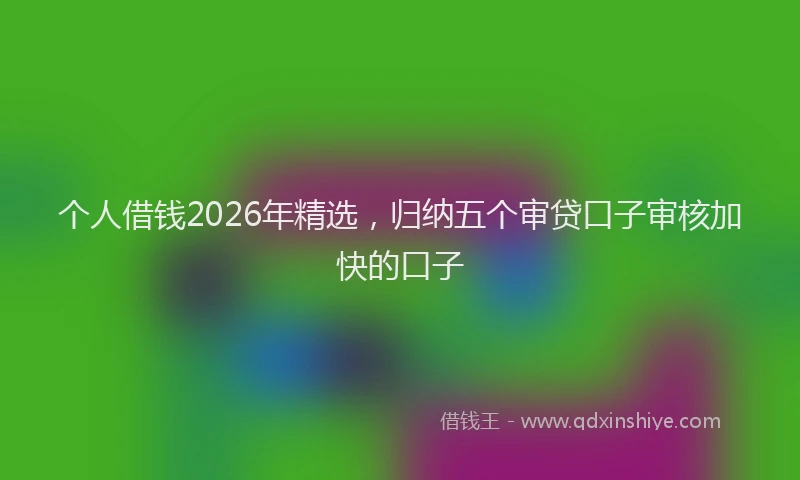 个人借钱2026年精选，归纳五个审贷口子审核加快的口子