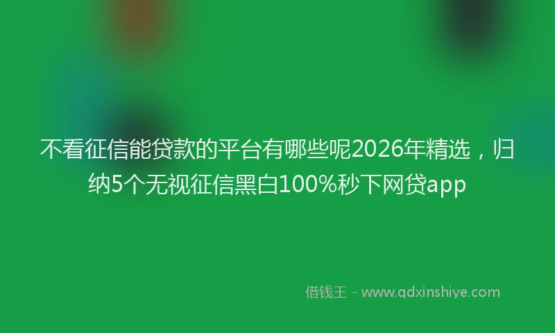 不看征信能贷款的平台有哪些呢2026年精选，归纳5个无视征信黑白100%秒下网贷app