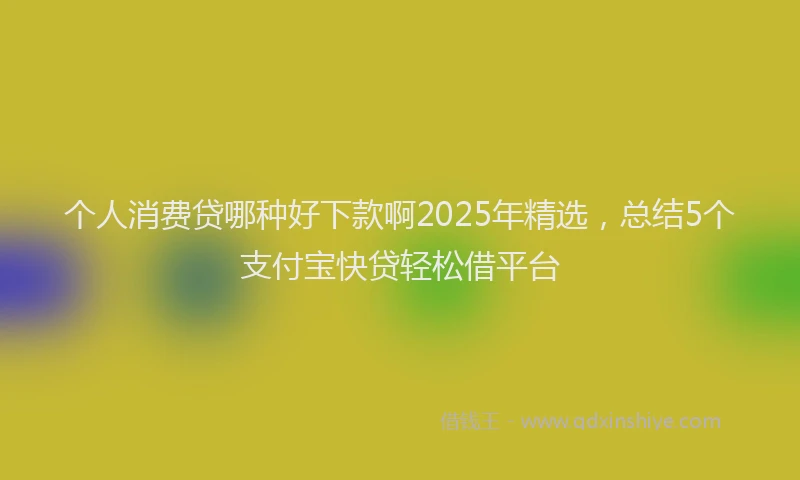 个人消费贷哪种好下款啊2025年精选，总结5个支付宝快贷轻松借平台
