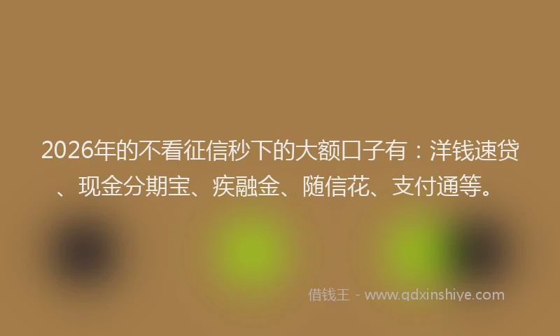 2026年的不看征信秒下的大额口子有：洋钱速贷、现金分期宝、疾融金、随信花、支付通等。