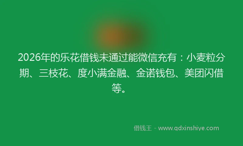2026年的乐花借钱未通过能微信充有：小麦粒分期、三枝花、度小满金融、金诺钱包、美团闪借等。