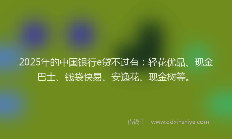2025年的中国银行e贷不过有：轻花优品、现金巴士、钱袋快易、安逸花、现金树等。