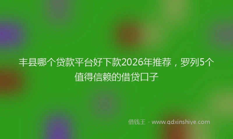 丰县哪个贷款平台好下款2026年推荐,罗列5个值得信赖的借贷口子