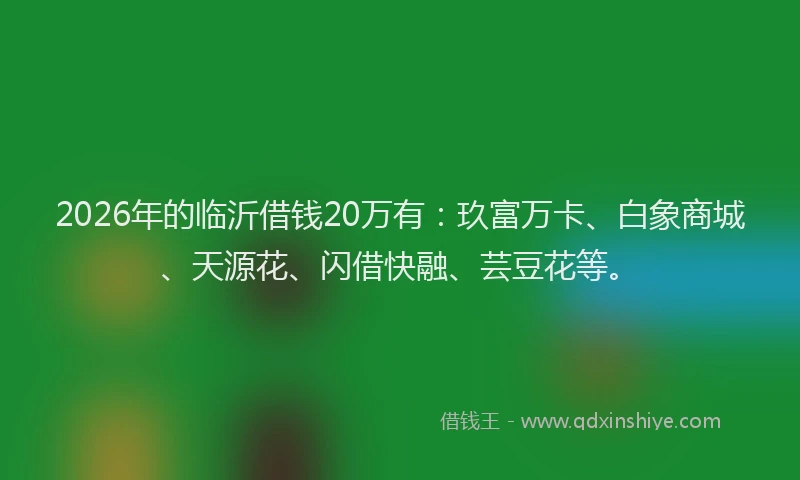 2026年的临沂借钱20万有：玖富万卡、白象商城、天源花、闪借快融、芸豆花等。