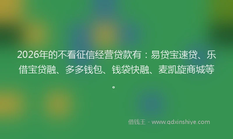 2026年的不看征信经营贷款有：易贷宝速贷、乐借宝贷融、多多钱包、钱袋快融、麦凯旋商城等。
