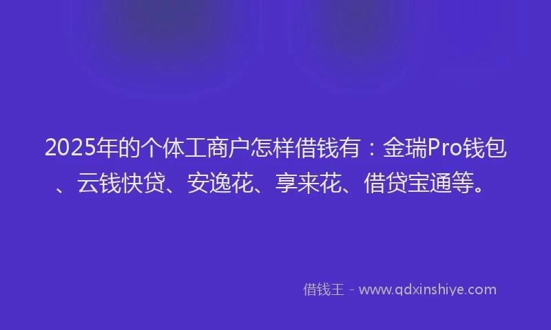 2025年的个体工商户怎样借钱有：金瑞Pro钱包、云钱快贷、安逸花、享来花、借贷宝通等。