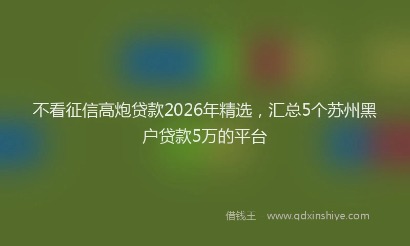 不看征信高炮贷款2026年精选，汇总5个苏州黑户贷款5万的平台