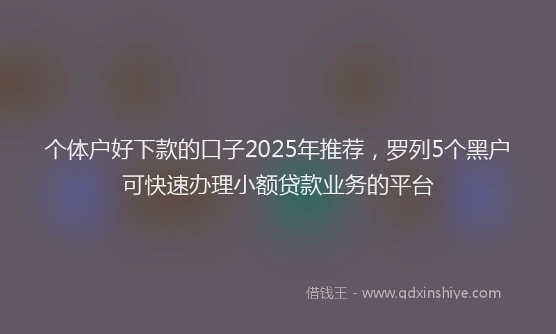 个体户好下款的口子2025年推荐，罗列5个黑户可快速办理小额贷款业务的平台