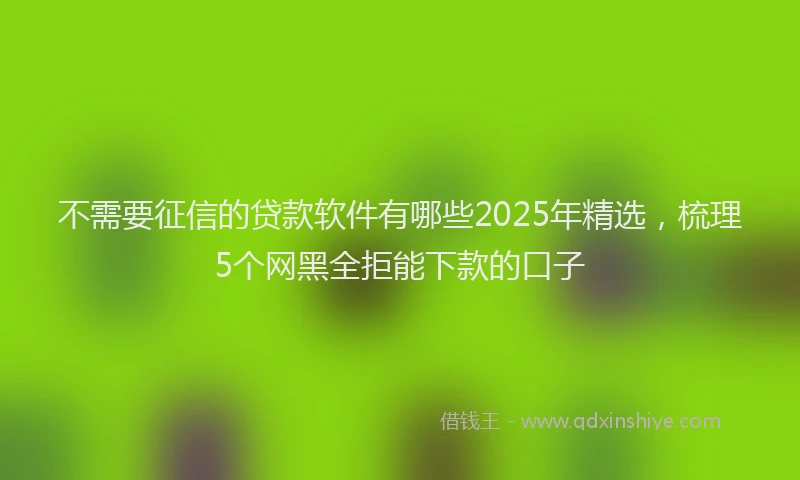 不需要征信的贷款软件有哪些2025年精选,梳理5个网黑全拒能下款的口子