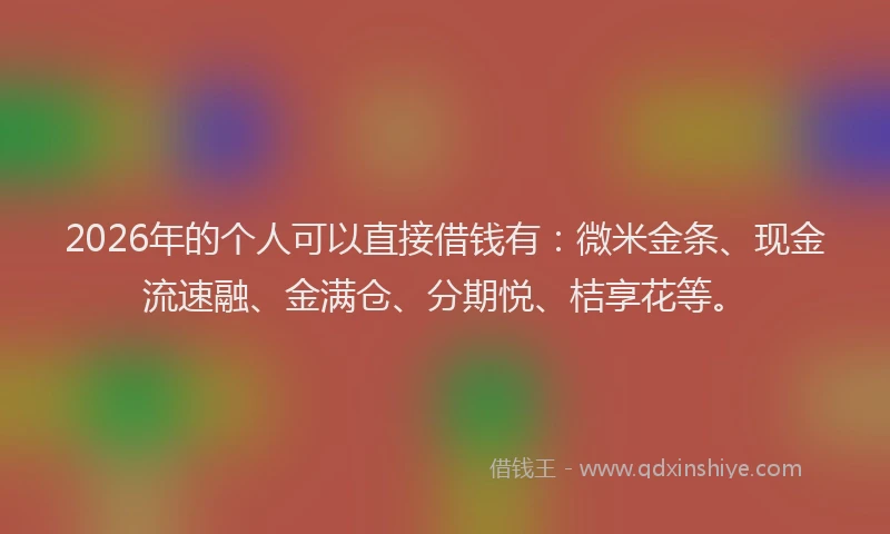 2026年的个人可以直接借钱有：微米金条、现金流速融、金满仓、分期悦、桔享花等。