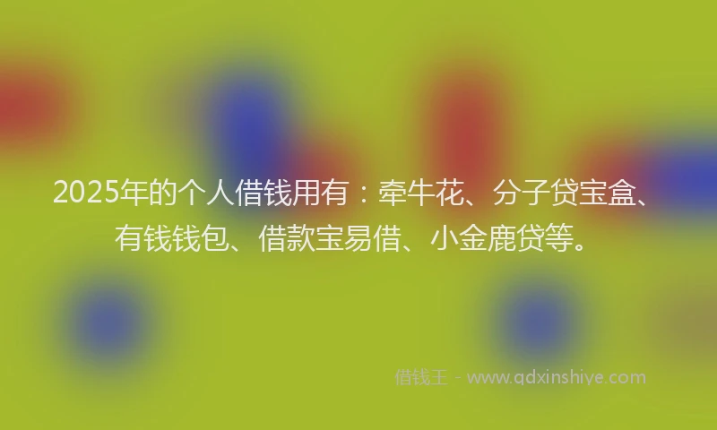 2025年的个人借钱用有:牵牛花、分子贷宝盒、有钱钱包、借款宝易借、小金鹿贷等。