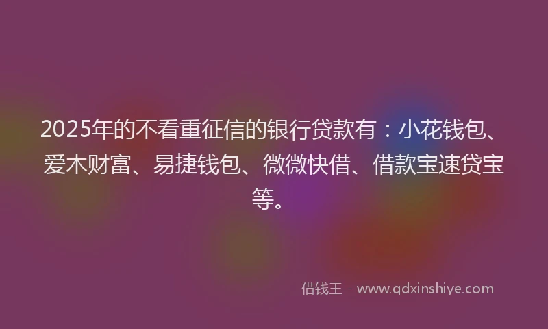 2025年的不看重征信的银行贷款有：小花钱包、爱木财富、易捷钱包、微微快借、借款宝速贷宝等。