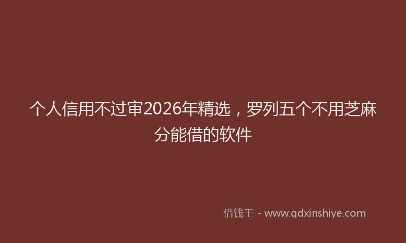 个人信用不过审2026年精选，罗列五个不用芝麻分能借的软件