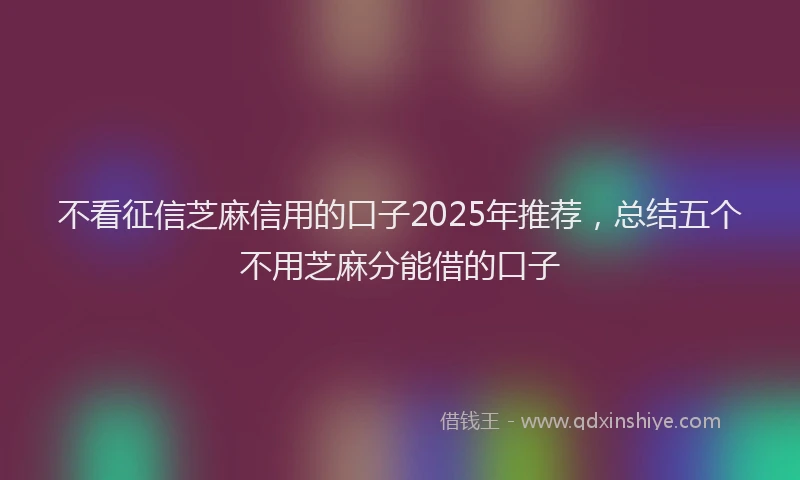 不看征信芝麻信用的口子2025年推荐，总结五个不用芝麻分能借的口子