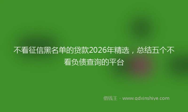 不看征信黑名单的贷款2026年精选，总结五个不看负债查询的平台