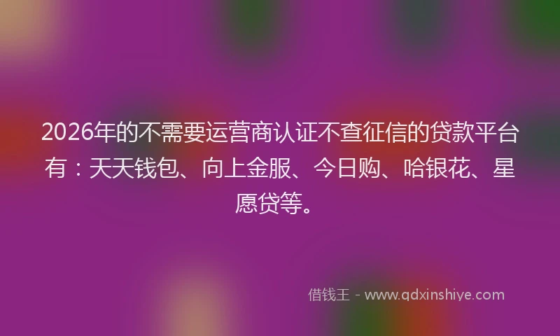 2026年的不需要运营商认证不查征信的贷款平台有：天天钱包、向上金服、今日购、哈银花、星愿贷等。