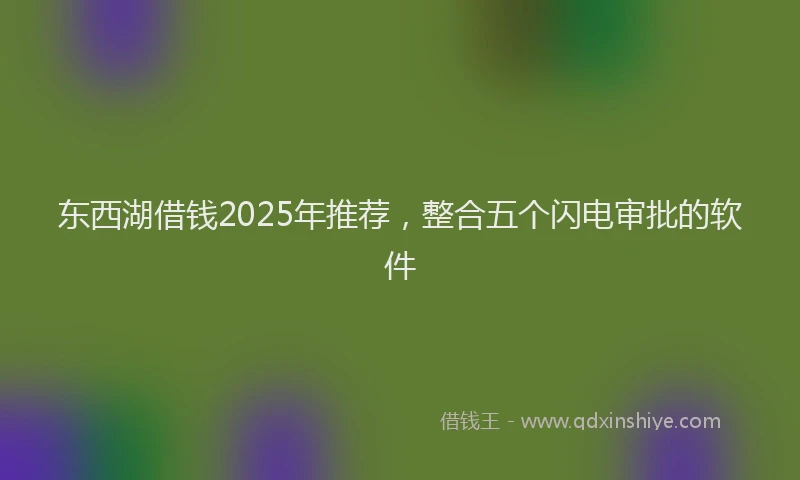 东西湖借钱2025年推荐，整合五个闪电审批的软件