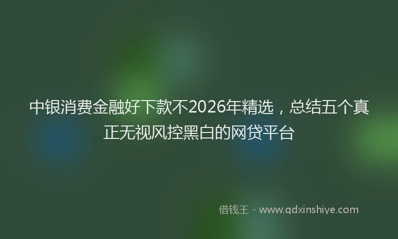 中银消费金融好下款不2026年精选，总结五个真正无视风控黑白的网贷平台