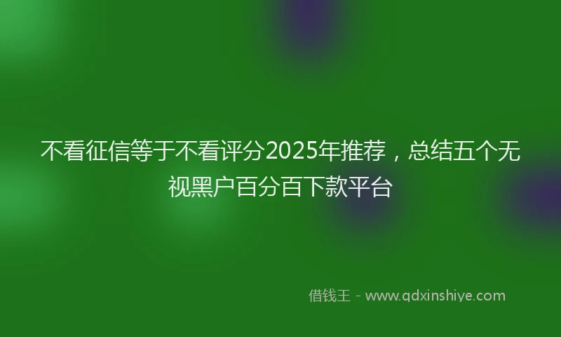 不看征信等于不看评分2025年推荐，总结五个无视黑户百分百下款平台