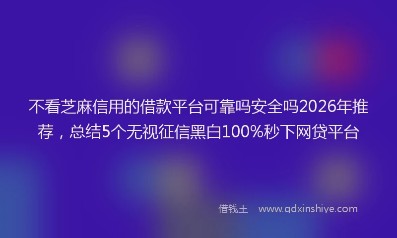 不看芝麻信用的借款平台可靠吗安全吗2026年推荐，总结5个无视征信黑白100%秒下网贷平台