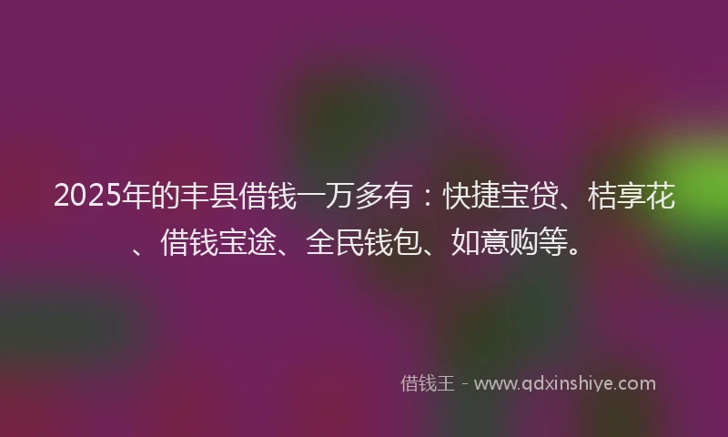 2025年的丰县借钱一万多有:快捷宝贷、桔享花、借钱宝途、全民钱包、如意购等。