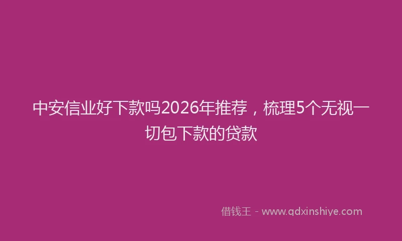 中安信业好下款吗2026年推荐，梳理5个无视一切包下款的贷款