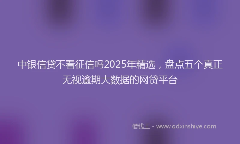 中银信贷不看征信吗2025年精选，盘点五个真正无视逾期大数据的网贷平台