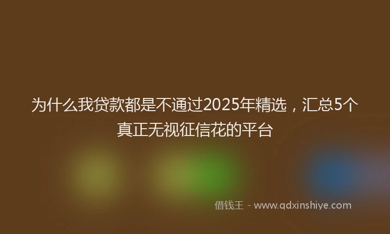 为什么我贷款都是不通过2025年精选,汇总5个真正无视征信花的平台