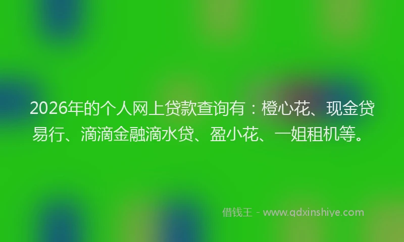 2026年的个人网上贷款查询有:橙心花、现金贷易行、滴滴金融滴水贷、盈小花、一姐租机等。