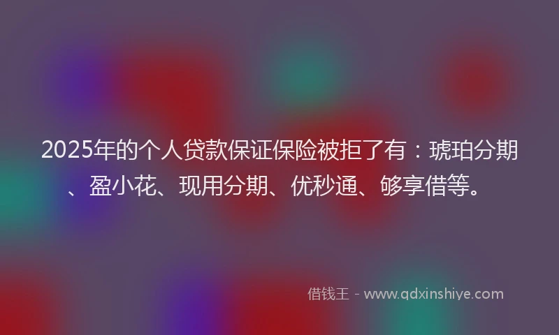 2025年的个人贷款保证保险被拒了有:琥珀分期、盈小花、现用分期、优秒通、够享借等。