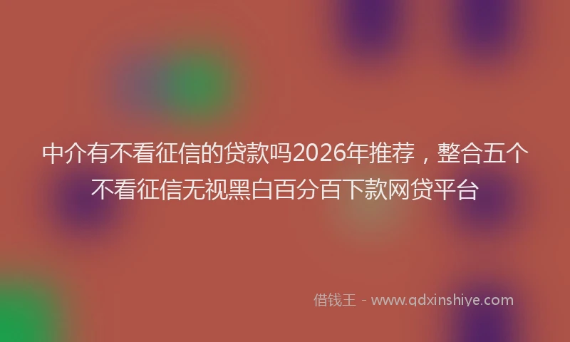 中介有不看征信的贷款吗2026年推荐，整合五个不看征信无视黑白百分百下款网贷平台