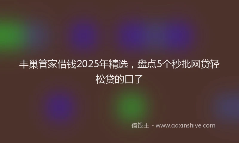 丰巢管家借钱2025年精选，盘点5个秒批网贷轻松贷的口子