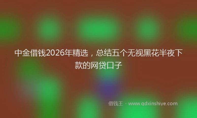中金借钱2026年精选，总结五个无视黑花半夜下款的网贷口子