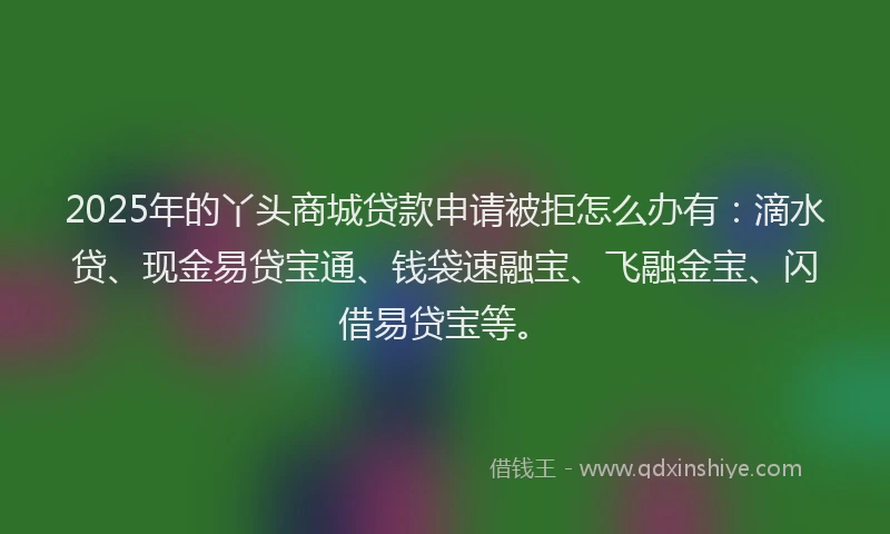 2025年的丫头商城贷款申请被拒怎么办有：滴水贷、现金易贷宝通、钱袋速融宝、飞融金宝、闪借易贷宝等。