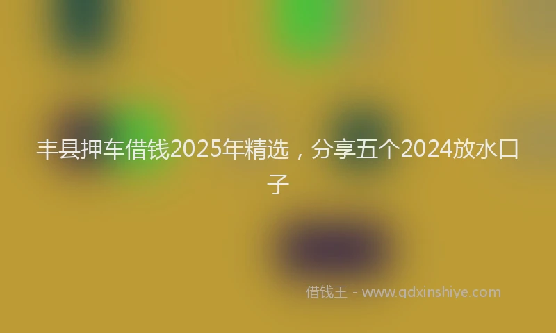 丰县押车借钱2025年精选,分享五个2024放水口子